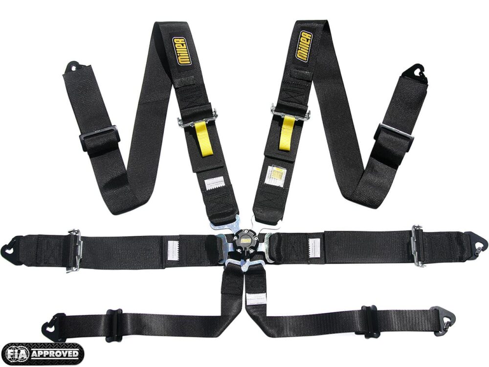 6 Point Racing Harness