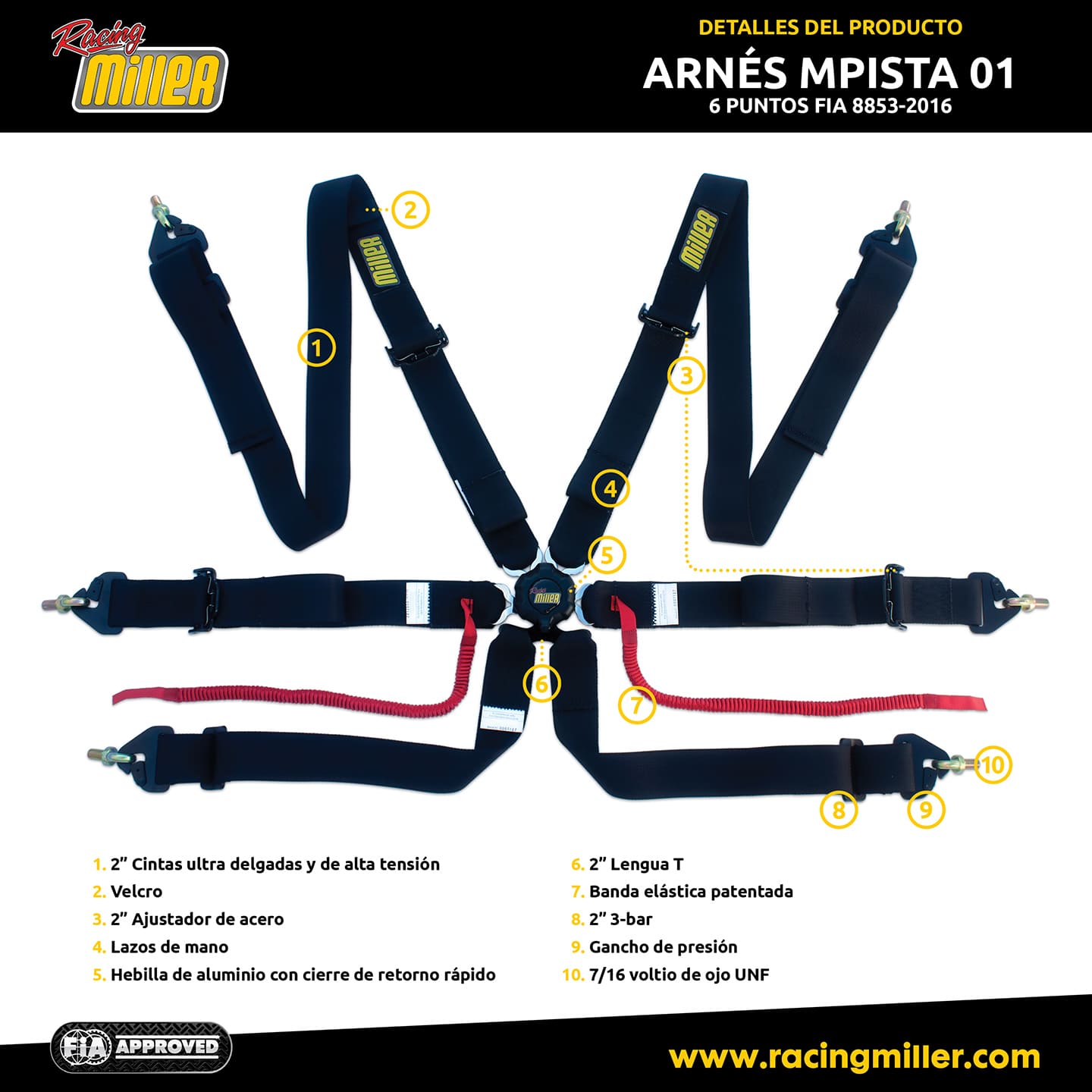 arnes 6 puntos FIA